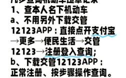 怎样查机动车违章记录查询 如何查机动车违章查询