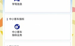 广州市中小客车摇号官网(广州市中小客车摇号结果)