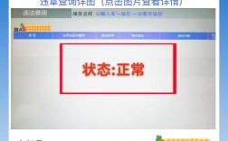 河北交警查违章车辆查询官网(河北交警查违章平台)