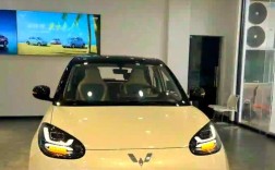 【柳州五菱纯电动汽车,柳州五菱纯电动汽车销售】