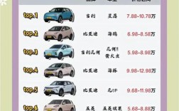 新能源电动车的价格表 新能源电动车价格及图片介绍