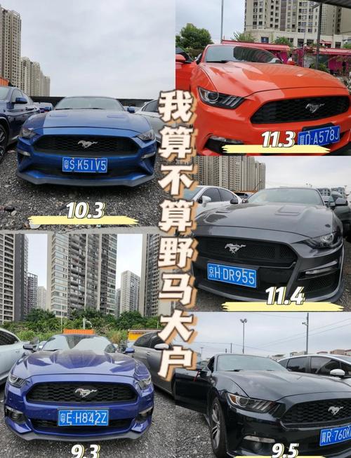 野马汽车报价表 野马汽车报价表大全