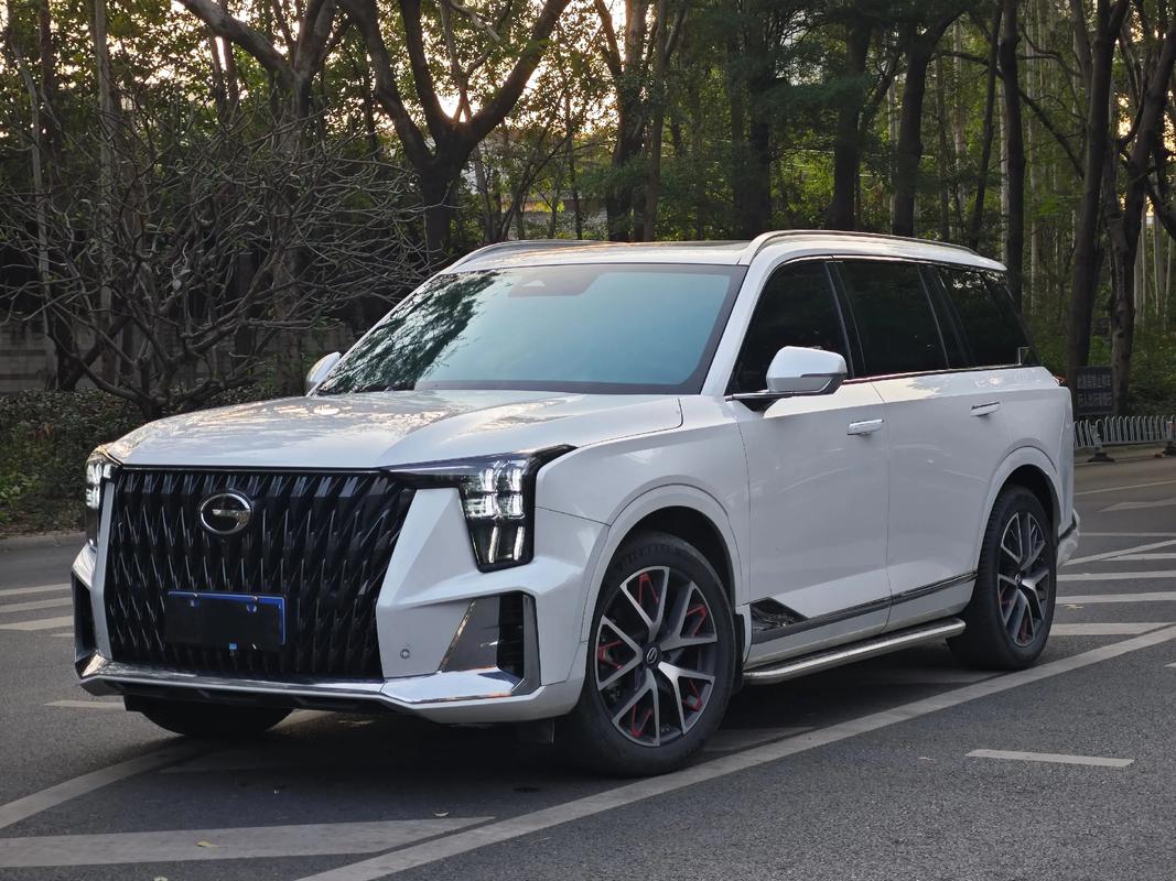 广汽传祺gs8什么价格,广汽传祺gs8价格及图片