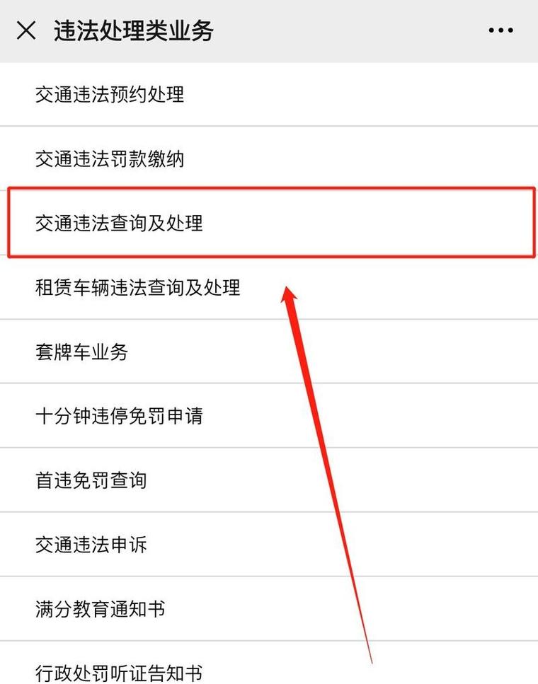查违章哪个软件好(查违章啥软件)