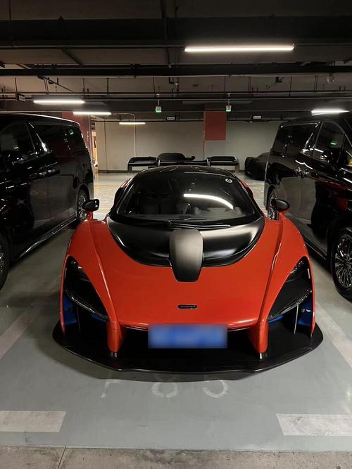 迈凯伦塞纳gtr多少钱一辆 迈凯伦塞纳跑车多少钱