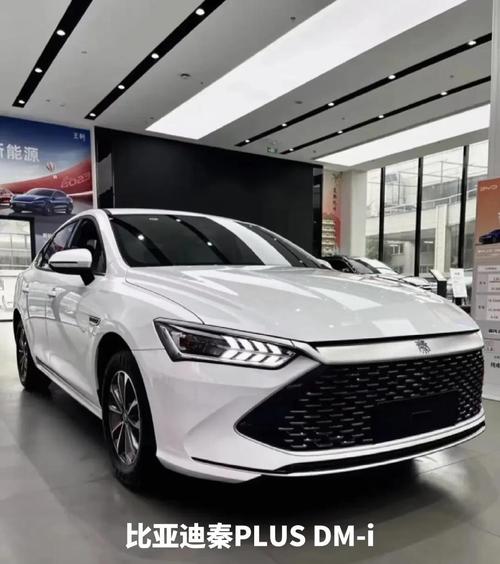 油电混合车30万左右车型推荐(30多万的油电混合车有哪些)