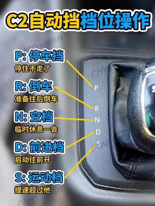 自动挡车档位介绍刹车油门(自动挡的刹车和油门在哪里)