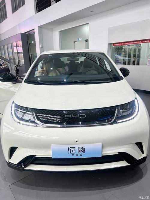 比亚迪两箱新能源电动汽车 比亚迪两厢纯电